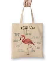 Bir Flamingo anatomisi 2 Bez Çanta Uzun Saplı