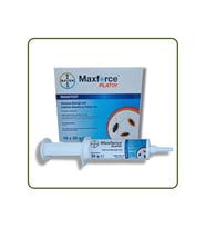 MAXFORCE PLATİN 20 GR HAMAMBÖCEĞİ JELİ (Tatlı Gri)