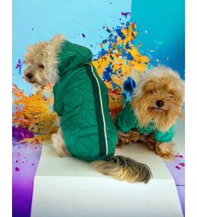 Luxy Green Köpek Montu, Köpek Ceketi, Köpek Dış Giyim