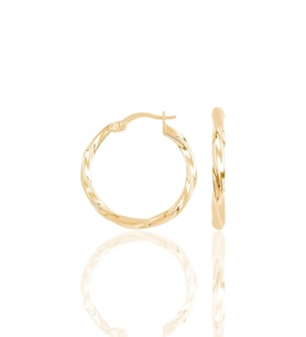 Burgu Model Şarnel 20 MM Kadın Gümüş Küpe (Gold)