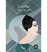 Dişi Kedi