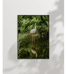 Gölette Turna Kuşu Poster