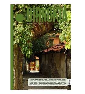 İstanbul Birnokta 246. Sayı Temmuz 2022 (STD)