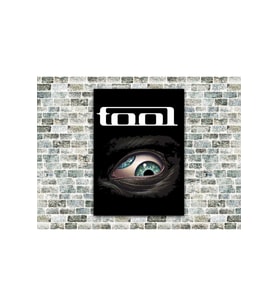 Tool Aenima Ahşap Tablo