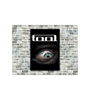 Tool Aenima Ahşap Tablo