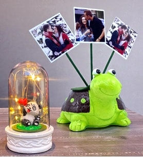 Kişiye Özel Hediye Seti 3 Fotoğraflı Sevimli Yeşil Kaplumbağa ve Led Işıklı Fanus (Model 4)