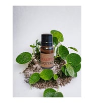 Okaliptus Uçucu Yağı 13ml