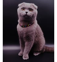 GAD Onix Doğaltaş renkli Ahşap kedi köpek kolyesi