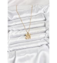 Northcity 316L Çelik Zincir Gold Renk Erkek Kız Model Kadın Kolye 5886