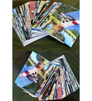 Parlak Fotoğraf Baskısı 50 Adet 10x15 SATICIYA SORU SOR