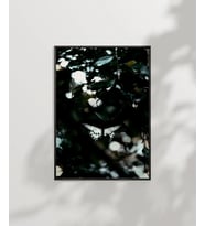 Ormanda Uçan Kelebekler Poster (Çok Renkli)