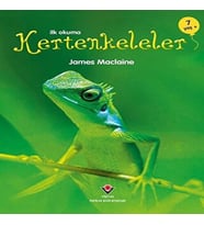 İlk Okuma - Kertenkeleler