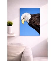 EAGLE16 TASARIM MDF TABLO (27X18)