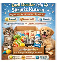 Candostumbox Evcil Hayvan Hediye Kutusu – Oyuncak ve Atıştırmalık Sürpriz Pet Box