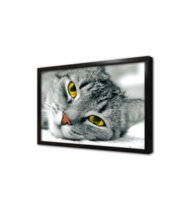 Kedi Çerçeveli Mdf Tablo