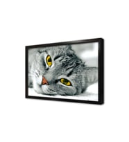Kedi Çerçeveli Mdf Tablo