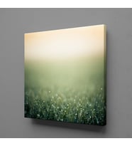 YEŞİLLİKLER KANVAS TABLO 140x140cm