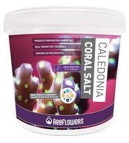 Reeflowers Caledonia Coral Salt 6.5 kg Akvaryum Tuzu