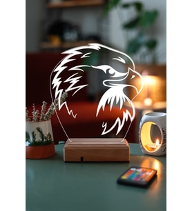 Özel Tasarım Kara Kartal 3D 16 Renk Dekoratif Led Gece Lambası