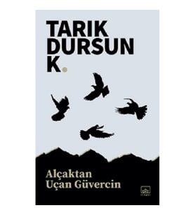 Alçaktan Uçan Güvercin
