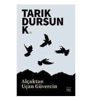 Alçaktan Uçan Güvercin