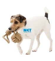 Trixie Köpek At-Getir ve Tut-Çek Oyuncağı, ø8/30cm
