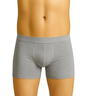 Amora Secret Gri Mı Emay 6800 Erkek Boxer