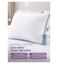 Klimalı Silikon Yastık - DayCool Serisi - 800 Gram