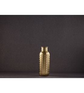 İron Hand Plnt W Pnc B Ma3845 Gold Vazo Standart - Gold