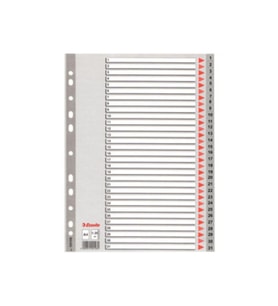 Esselte Seperatör 1-31 Rakamlı Plastik A4 100108