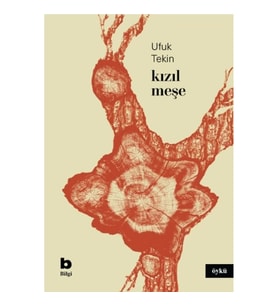 Kızıl Meşe
