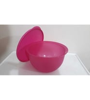 Tupperware Eko 2,5 Litre Saklama Kabı