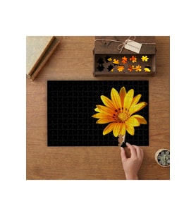 Yakın Çekim Sarı Gerber Çiçeği Tasarımı 240 parça Ahşap Puzzle Ahşap Kutuda MP02424