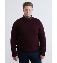 LCWAIKIKI Classic Bordo Bisiklet Yaka Erkek Triko Kazak