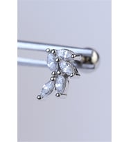 Sabit Kazayağı Silver Piercing