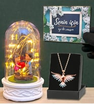 Led Işıklı Fanus ve Renkli Zümrüdü Anka Kuşu Kolye Hediye Seti (Model 4)