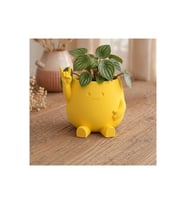 Alvera Smiley Face Planter – 3D Baskı Gülümseyen Karakterli Saksı-Sarı