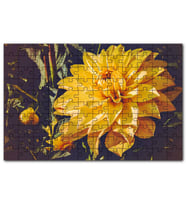 Cakapuzzle Sarı Yıldız Çiçeği Yakın Çekim Puzzle Yapboz MDF (Ahşap) (120 Parça)