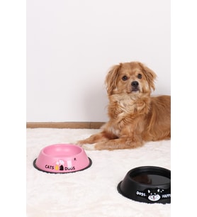 RENKli Metal Mama Kabı, Kedi Köpek Mama Su Kabı 20 cm (Pembe)