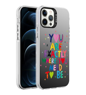 Apple iPhone 12 Pro Max Kılıf Desenli Zore Silver Sert Kılıf You