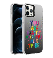 Apple iPhone 12 Pro Max Kılıf Desenli Zore Silver Sert Kılıf You