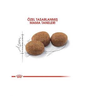 Royal Canin Sterilised 37 Kedi Kuru Maması 2 Kg