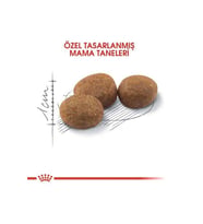 Royal Canin Sterilised 37 Kedi Kuru Maması 2 Kg