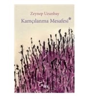 Kamçılanma Mesafesi