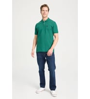 Erkek Regular Fit Polo T-shirt Green
