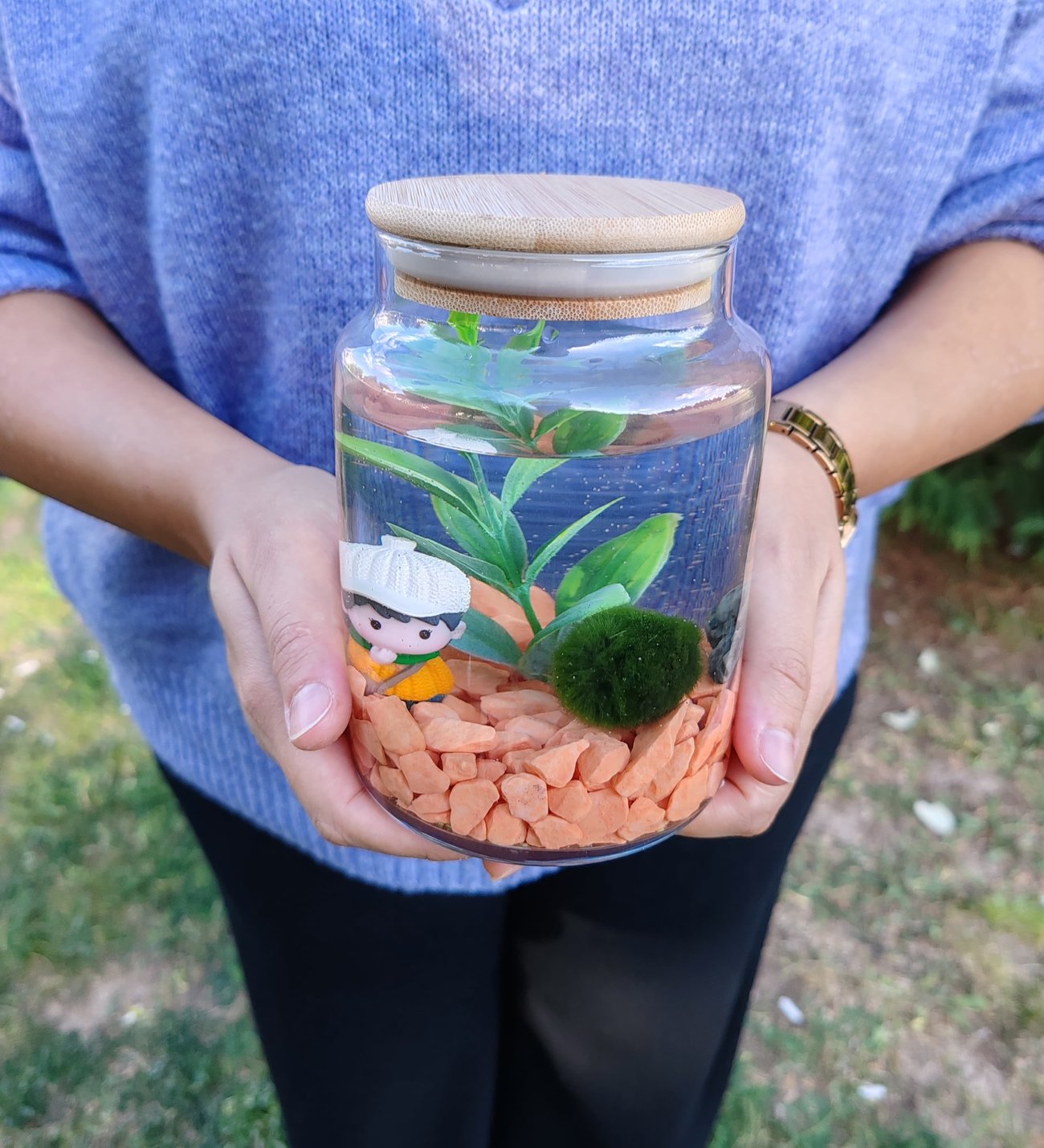 marimo°☆ Şans Getiren Marimo Sunshine