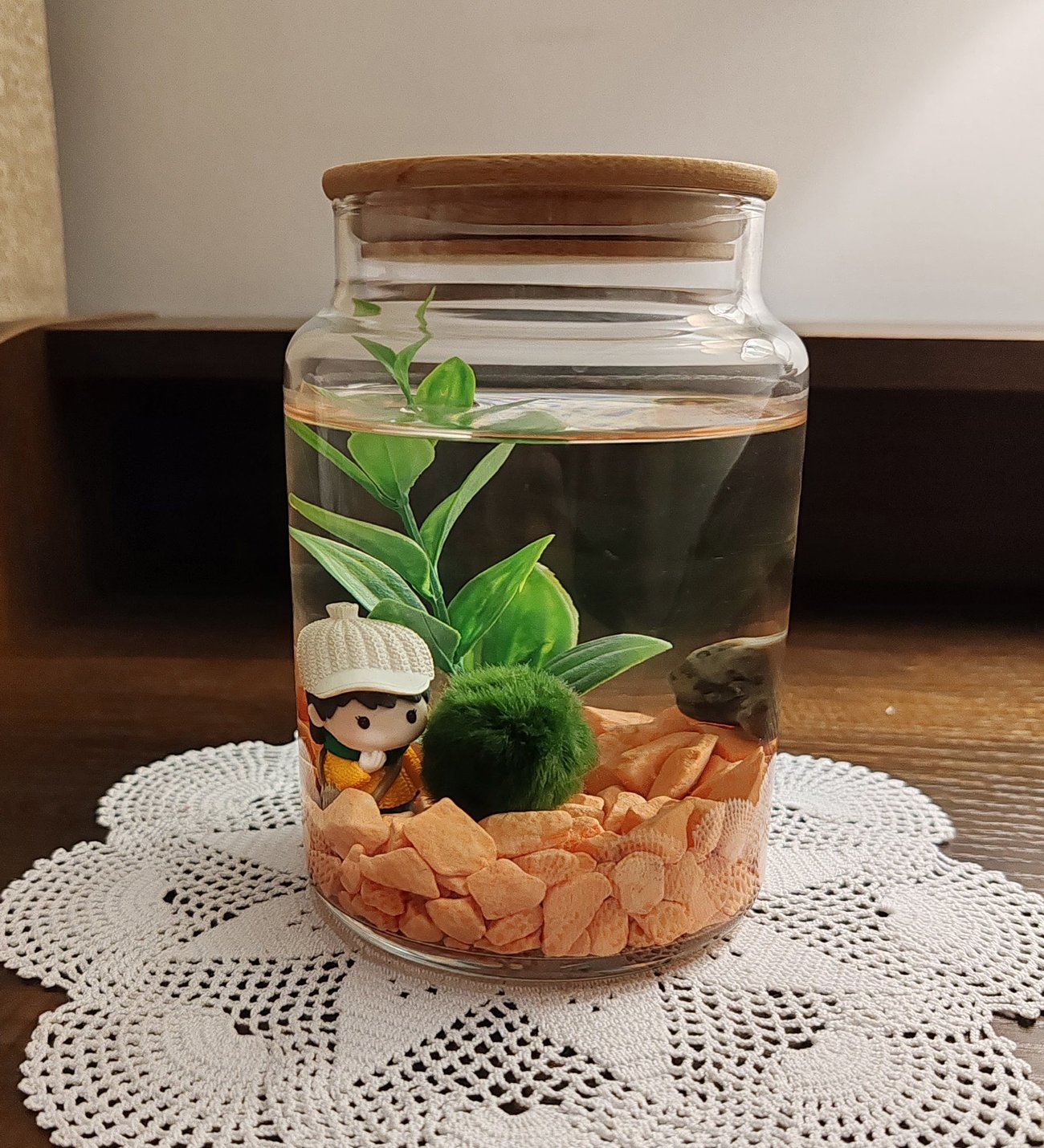 sans-getiren-marimo-sunshine-