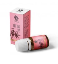 Panlife Hint Yağı 10 ml