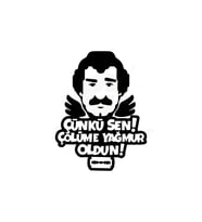 Çünki Sen Çölüme Yağmur Oldun Oto Sticker Siyah 30*25 Cm