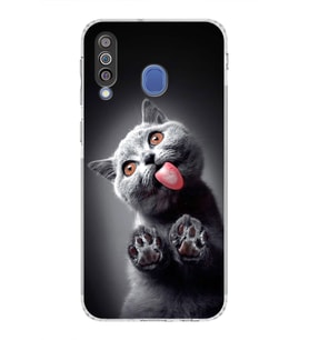 PrintiFy Samsung Galaxy M30 ile Uyumlu Kedi 2 Kamera Korumalı Şeffaf Kılıf
